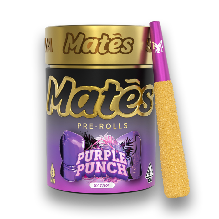 66830c7751deabc63494a9a4 MM Mates Tin PurplePunch