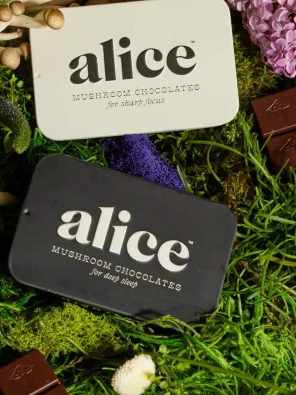 alice mushroom chocolate