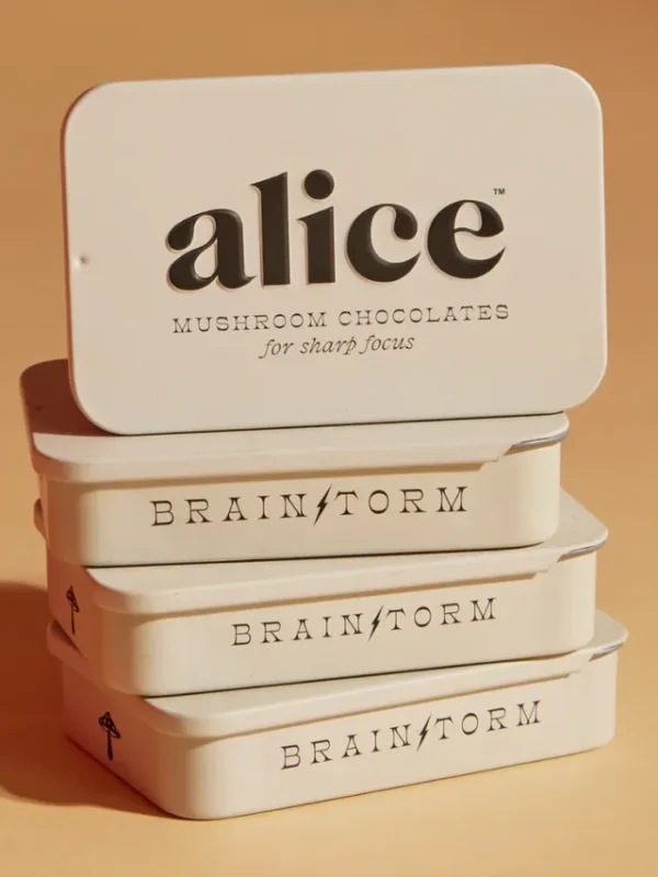 Alice Mushroom Chocolate Brainstorm