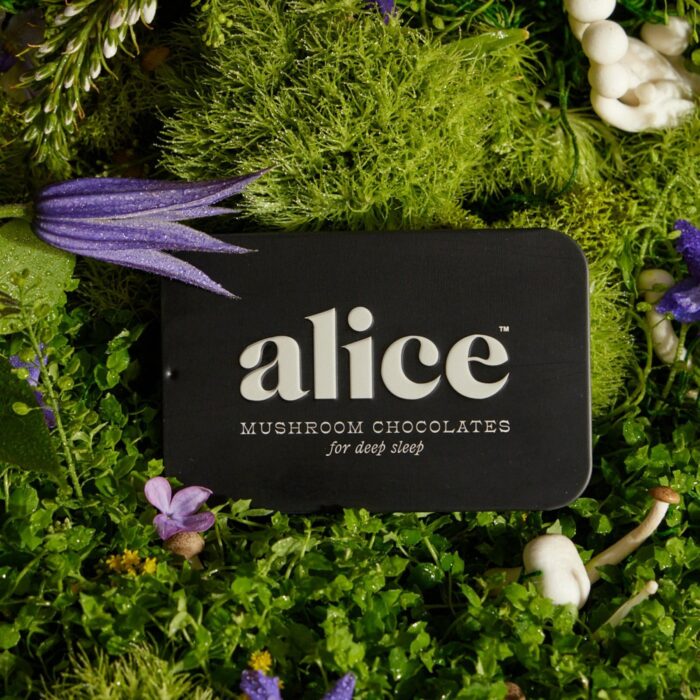 Alice mushroom Chocolates