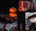 buy moon chocolate bar online​
